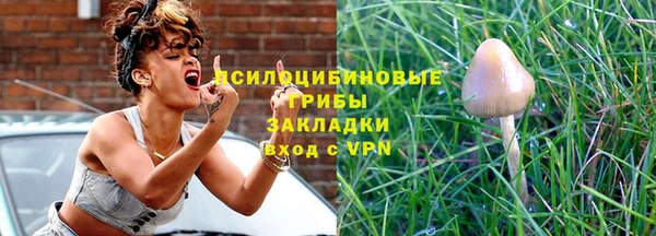 apvp Болотное