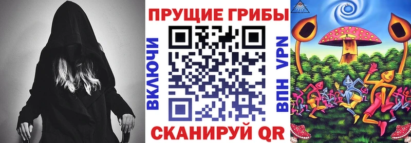 дарнет шоп  Белый  Псилоцибиновые грибы Psilocybine cubensis 
